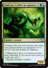 Product image for Coatl aux écailles de sapience