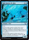 Product image for Raie manta de plax