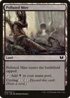 Product image for Polluted Mire
