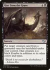Product image for Rise from the Grave