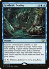 Product image for Synthetic Destiny