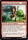 Product image for Shamane de nuée d'orage