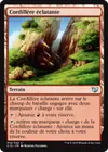Product image for Cordillère éclatante