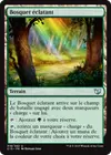 Product image for Bosquet éclatant