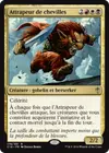 Product image for Attrapeur de chevilles