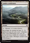 Product image for Landes cendreuses