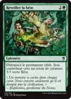 Product image for Réveiller la bête