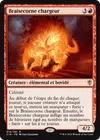 Product image for Braisecorne chargeur
