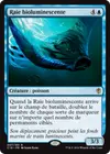 Product image for Raie bioluminescente