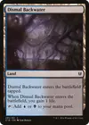 Product image for Dismal Backwater