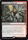 Product image for Tourment sempiternel