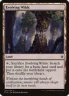 Product image for Evolving Wilds