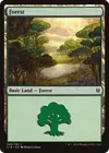 Product image for Forest