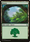 Product image for Forest