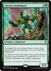 Product image for Ancien immémoré