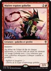 Product image for Maître espion gobelin