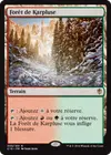 Product image for Forêt de Karpluse