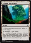 Product image for Paysage myriadaire