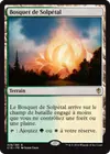 Product image for Bosquet de Solpétal