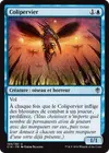 Product image for Colipervier