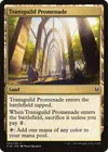 Product image for Transguild Promenade