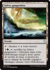 Product image for Sylves gangrenées