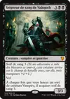 Product image for Seigneur de sang de Vaäsgoth