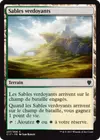 Product image for Sables verdoyants