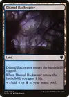 Product image for Dismal Backwater