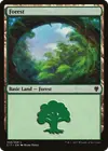 Product image for Forest