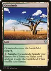 Product image for Grasslands