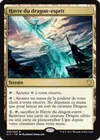 Product image for Havre du dragon-esprit