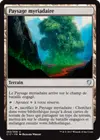 Product image for Paysage myriadaire