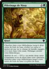 Product image for Pèlerinage de Nissa
