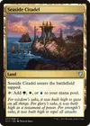 Product image for Seaside Citadel