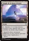 Product image for Temple de la fausse divinité