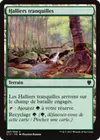 Product image for Halliers tranquilles