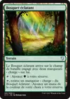 Product image for Bosquet éclatant