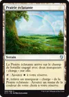 Product image for Prairie éclatante