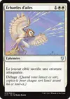 Product image for Échardes d'ailes