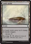 Product image for Lande stérile