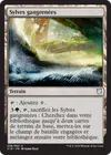 Product image for Sylves gangrenées