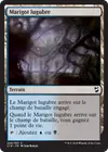 Product image for Marigot lugubre