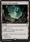 Product image for Sinistre forêt sauvage