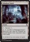 Product image for Paludgraf hanté