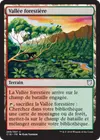 Product image for Vallée forestière