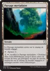 Product image for Paysage myriadaire