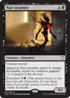 Product image for Nuit incarnée