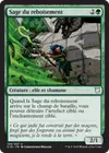 Product image for Sage du reboisement