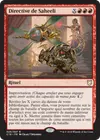 Product image for Directive de Saheeli